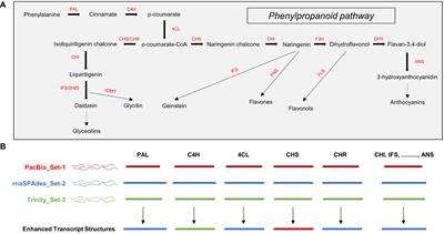 Enhancing transcriptome analysis in medicinal plants: multiple unigene sets in Astragalus membranaceus